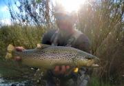 Chalk stream Brown trout May Sun